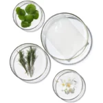 lakstine-veido-kauke-terrazen-pdrn-total-renew-mask-ter86842-25-ml-3