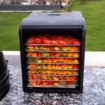 maisto-produktu-dziovykle-zyle-zy339fd-1