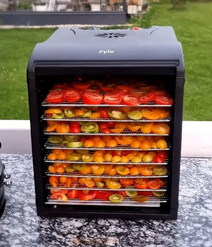 maisto-produktu-dziovykle-zyle-zy339fd-1